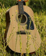 Guitar, resting in a field.